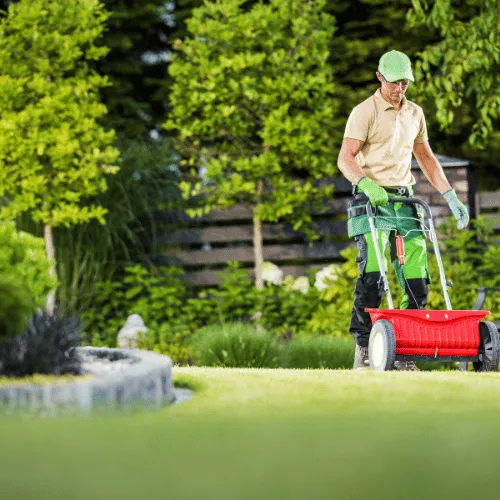 Spring Valley Landscape Maintenance