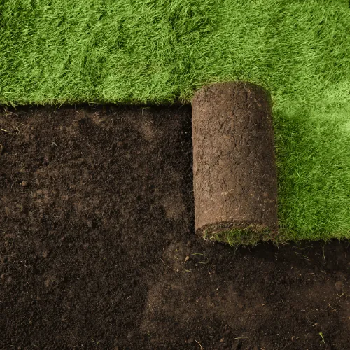  Landscape Construction