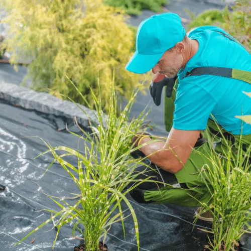  Landscape Construction