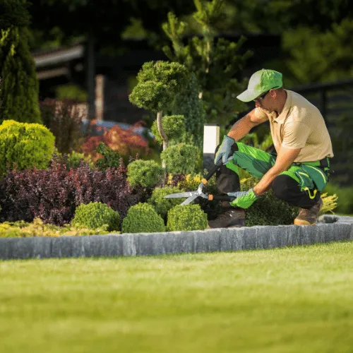  Landscape Construction