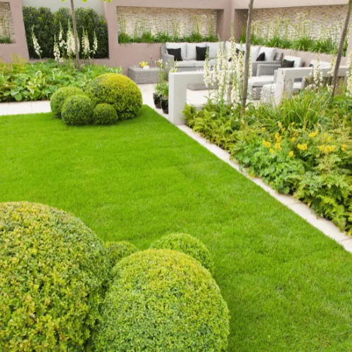 Anthem Landscape Renovation