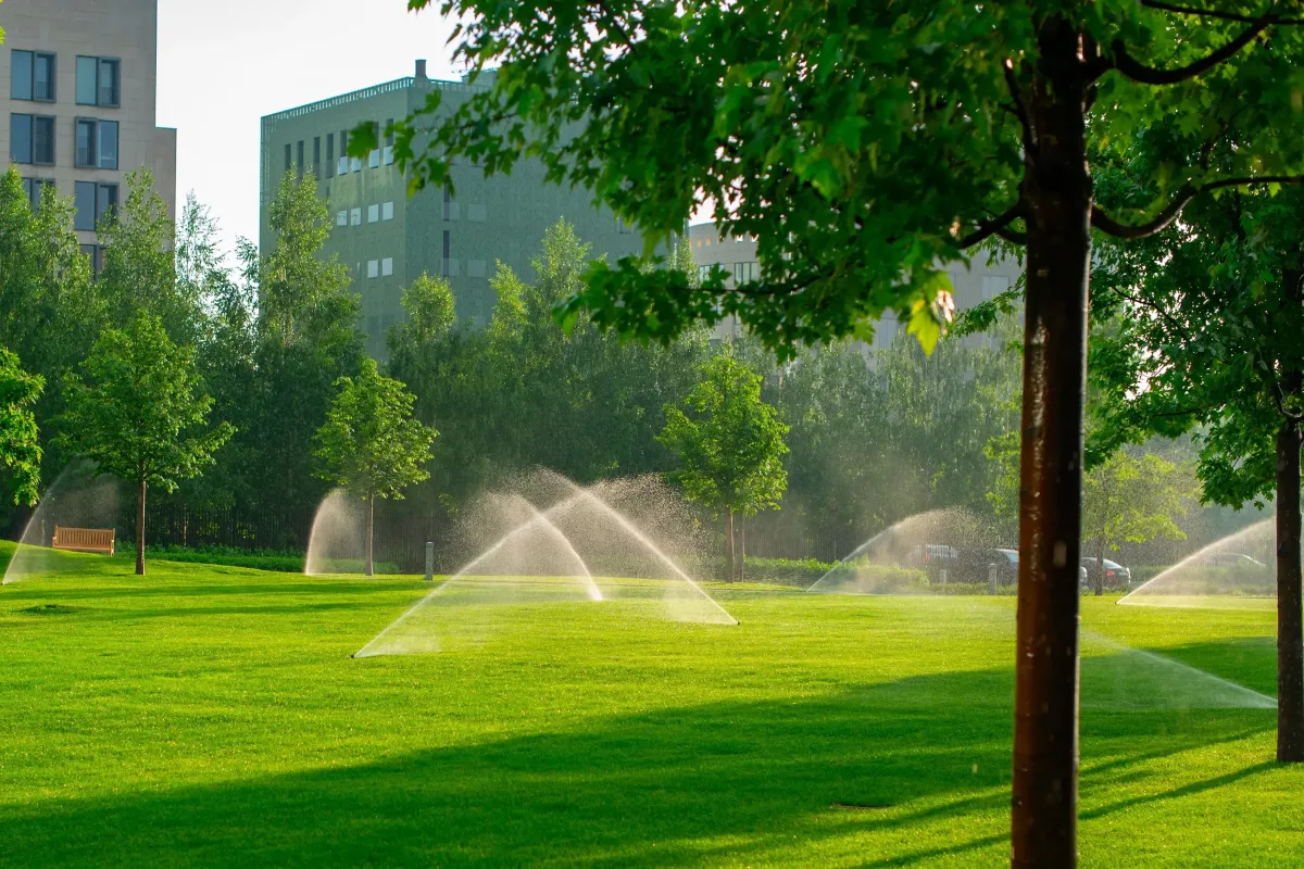 Commercial landscaping services enhancing office exterior in Bentonville, AR