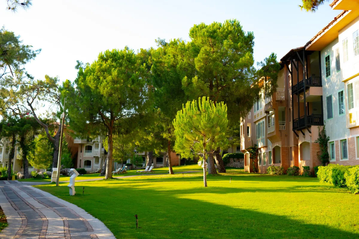 Lawn mowing and edging services by 5 Star Grounds for retail properties