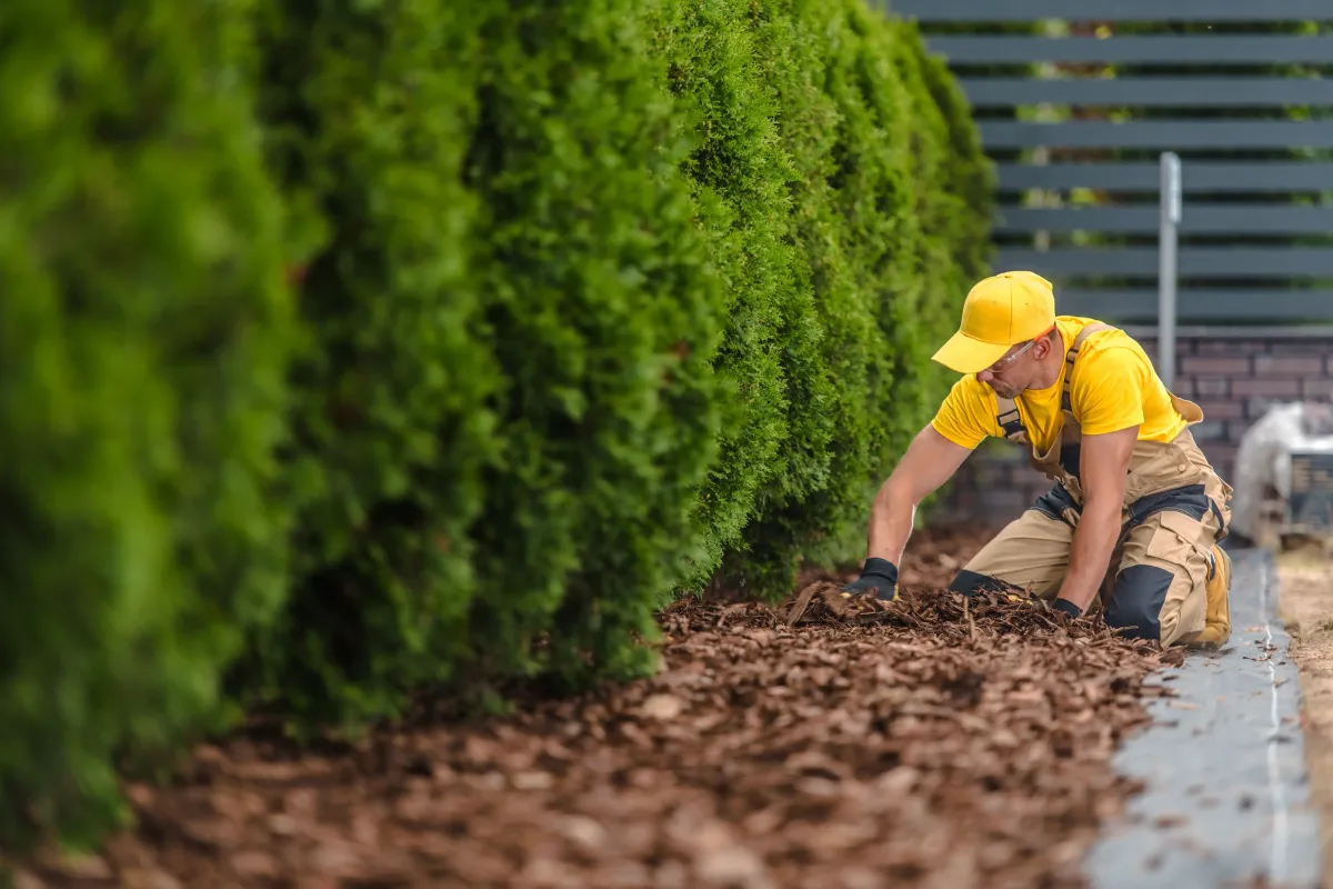 Routine landscape care services by 5 Star Grounds in Bentonville, AR