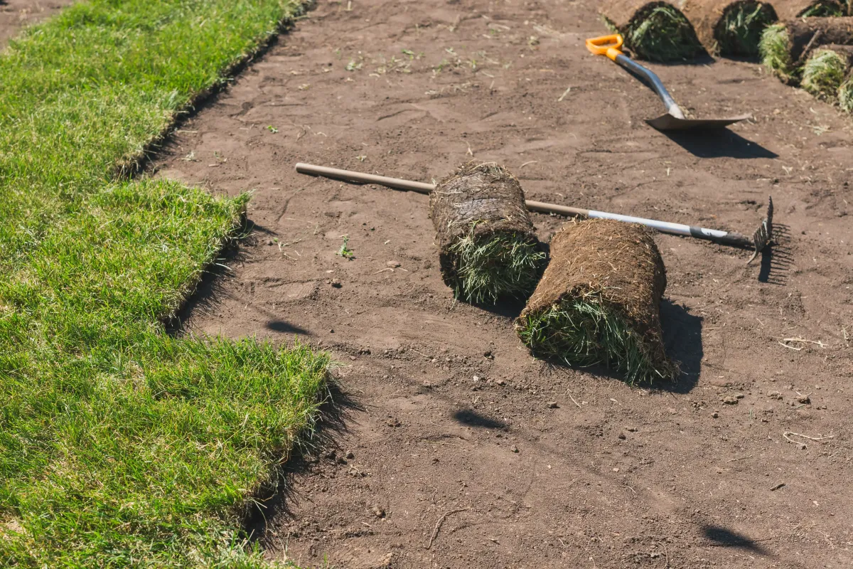 Seasonal landscape maintenance by 5 Star Grounds in Northwest AR