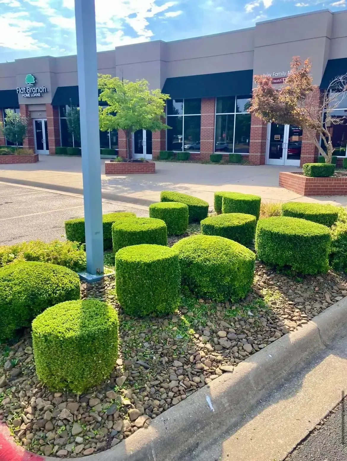 Professional lawn care and landscape maintenance for businesses in Bentonville, AR