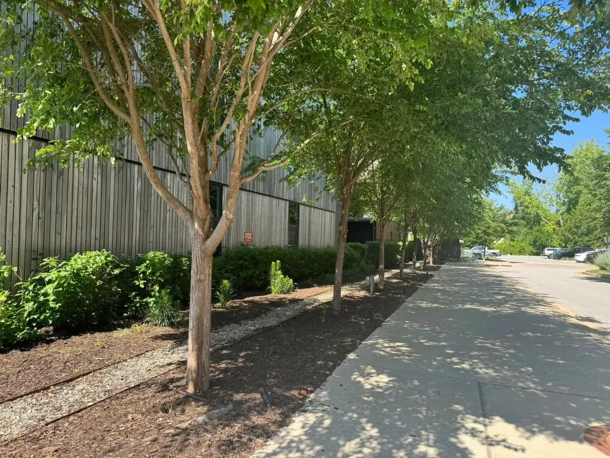 Professional commercial landscaping for office buildings in Springdale, AR