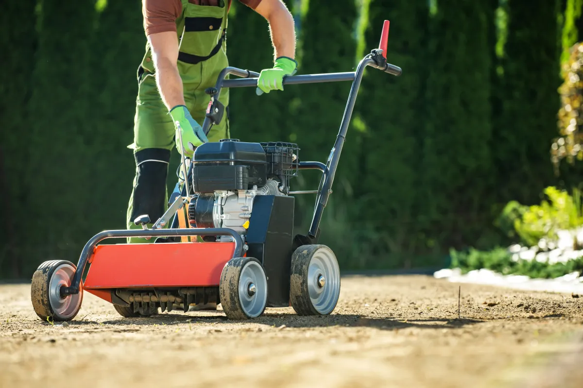 Retail property lawn care by 5 Star Grounds in Fayetteville, AR