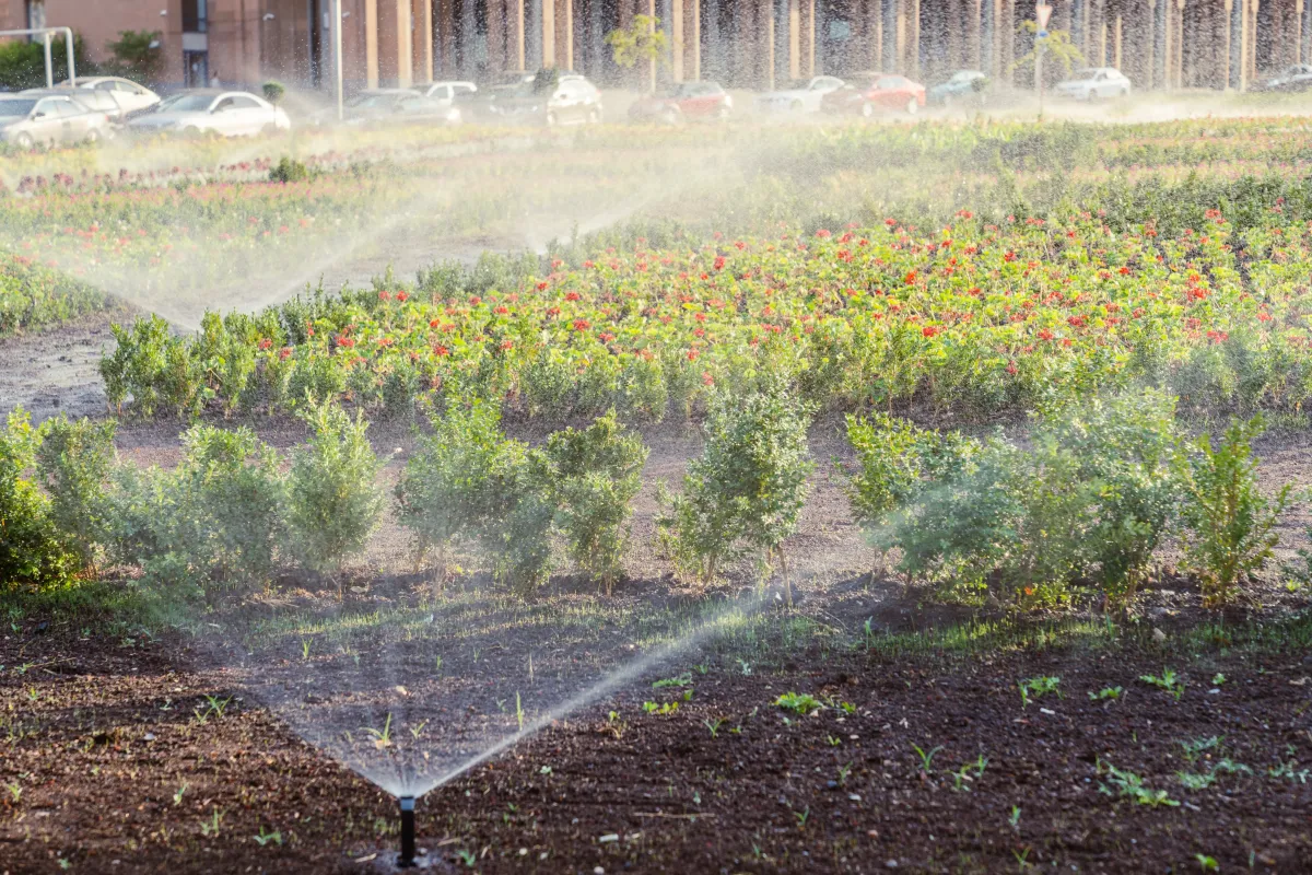 Sprinkler-system-watering-plants-rogers-ar