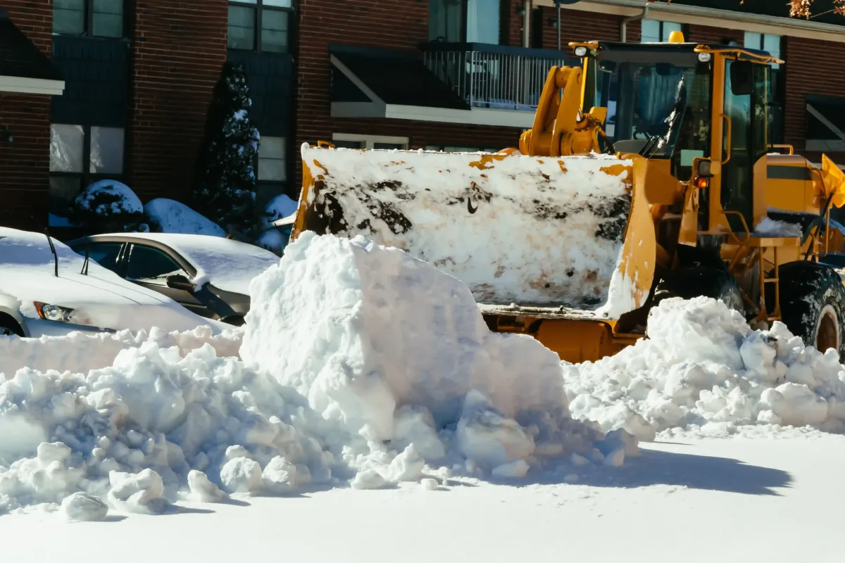 Removing Snow from walkway