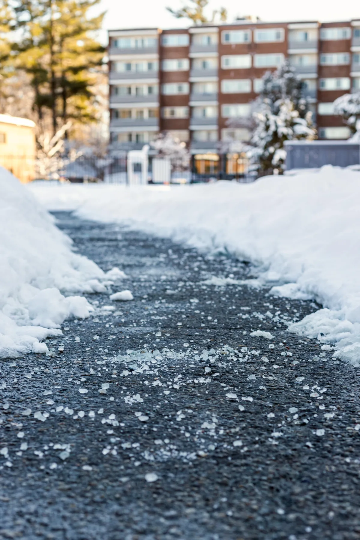5 Star Laying Salt on Walkway at Apartment Building
