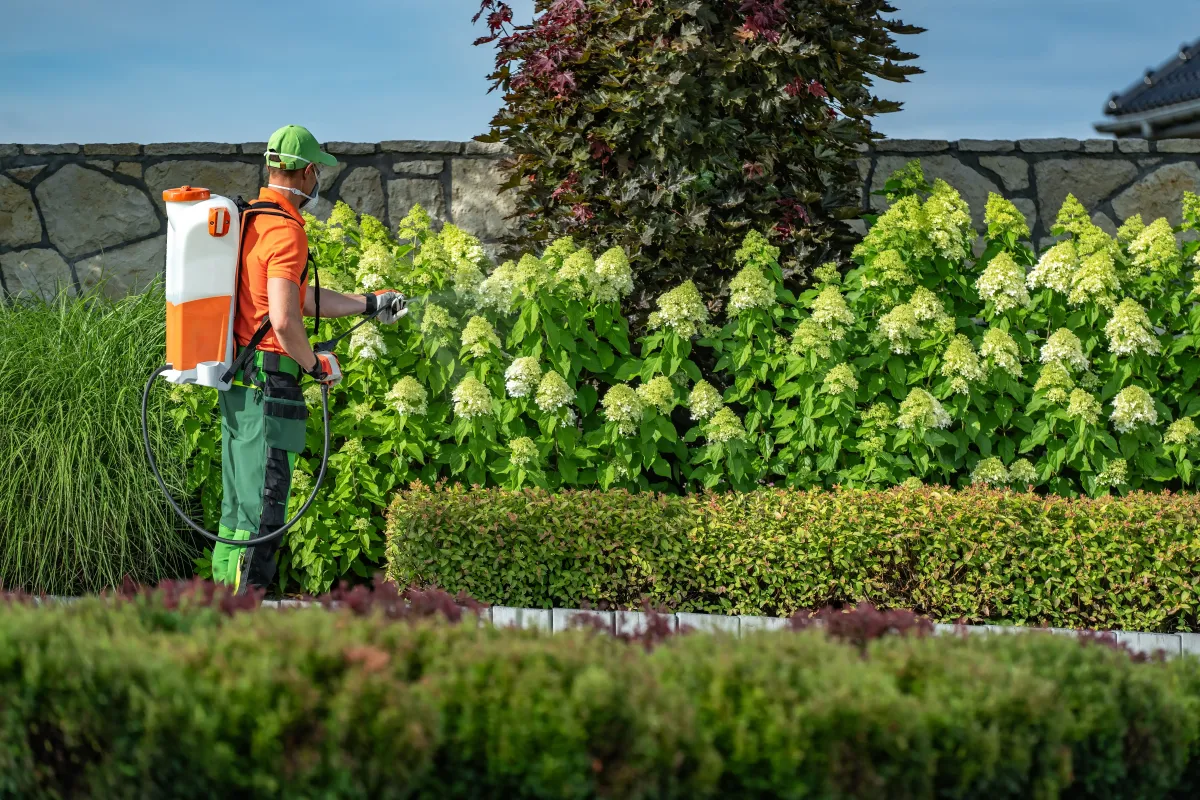Lush green lawn maintained by 5 Star Grounds lawn care experts in Northwest Arkansas