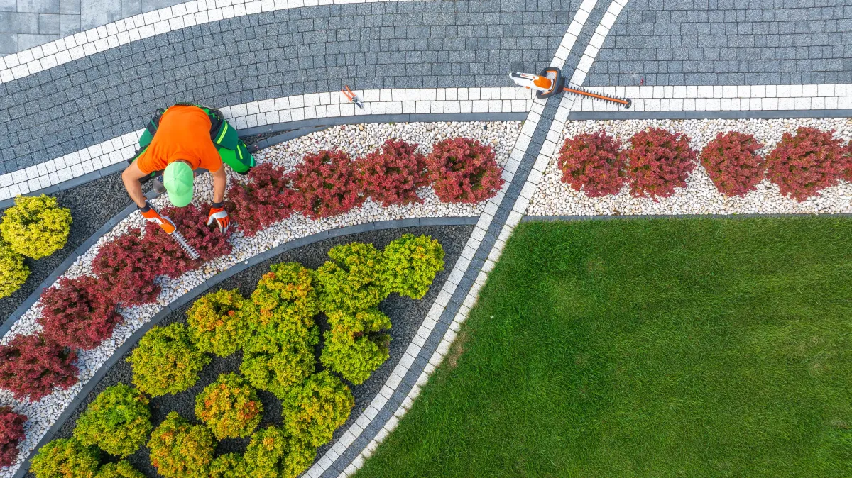 Custom softscape and landscape design by 5 Star Grounds in Northwest Arkansas commercial space