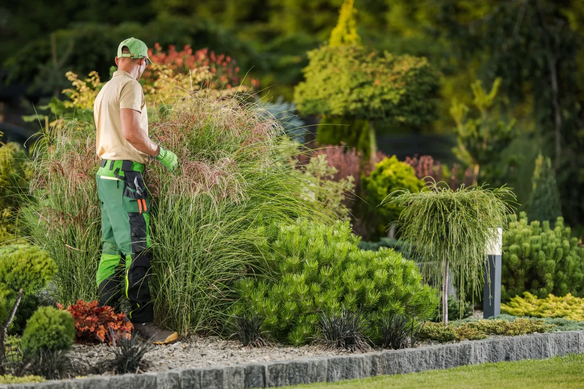 Tree and shrub trimming service by 5 Star Grounds for clean, polished landscapes in Northwest Arkansas