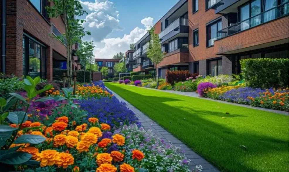 Landscape design plan with native plants and hardscapes by 5 Star Grounds in Bentonville