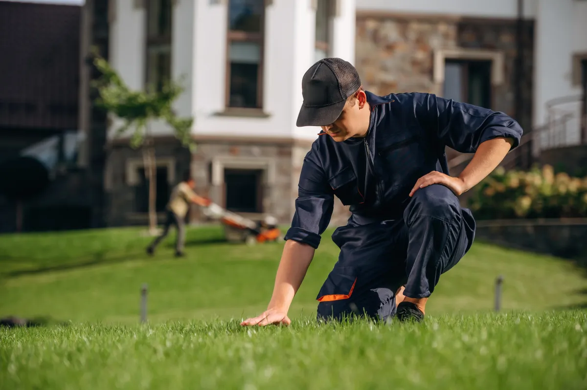 Schedule a professional lawn and landscape assessment with 5 Star Grounds in Northwest Arkansas for expert recommendations.