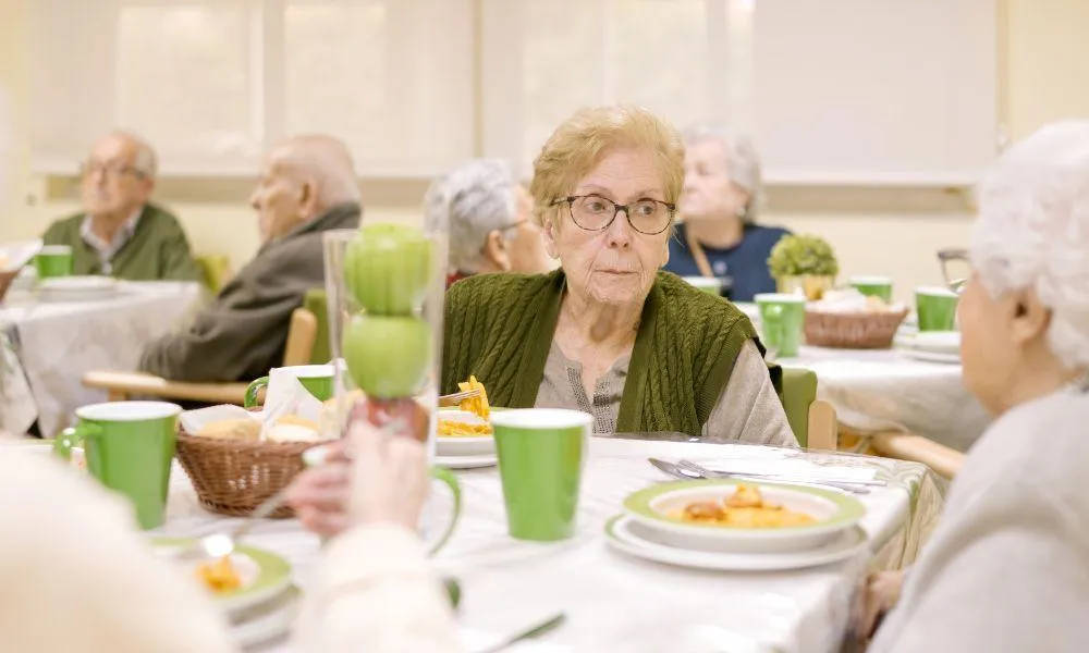 Geese swim on a calm lake at dusk.