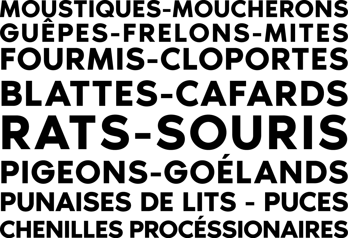 MeilleurTaux équipe