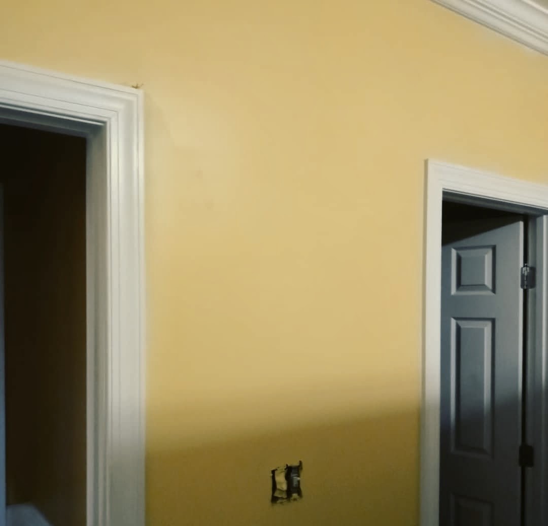 Exterior House Painting Raleigh, NC