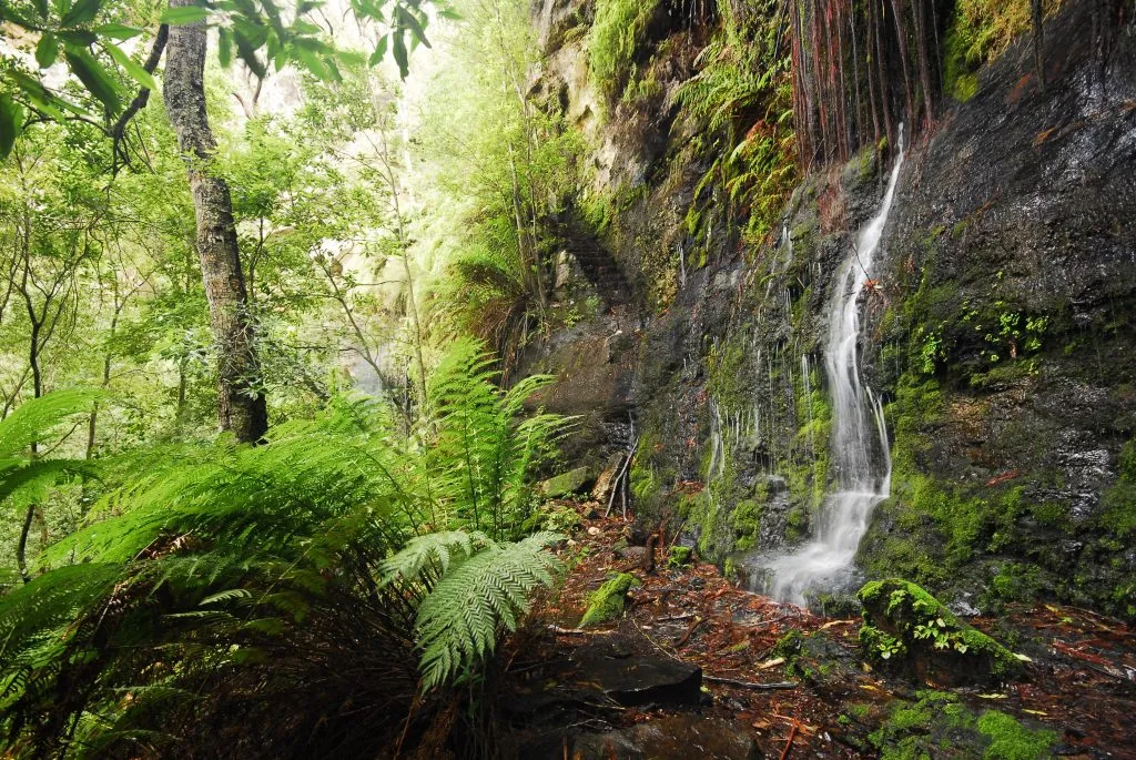 Photo courtesy of Destination Southern Highlands