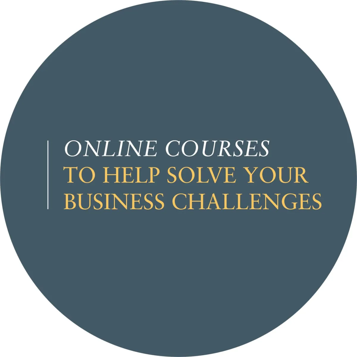 Online Courses for family photographers