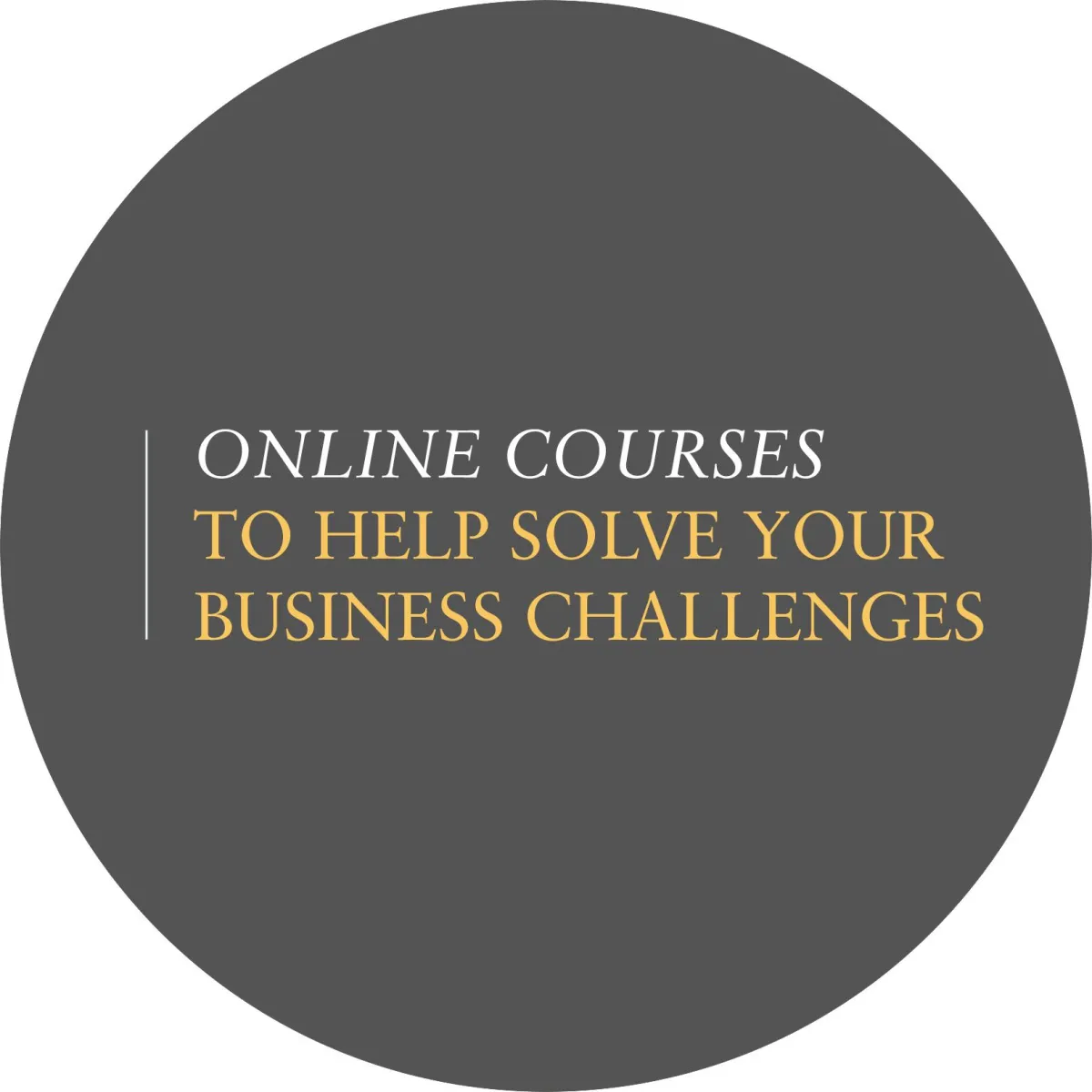 Online Courses for family photographers