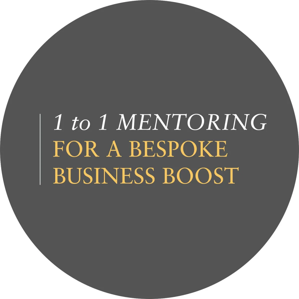 1 to 1 mentoring for family photographers