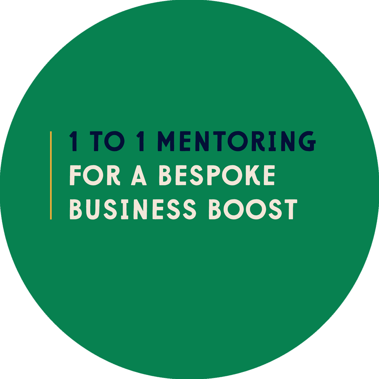 1 to 1 mentoring for family photographers