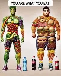 Health, Wellness, Habits, Chiropractic 