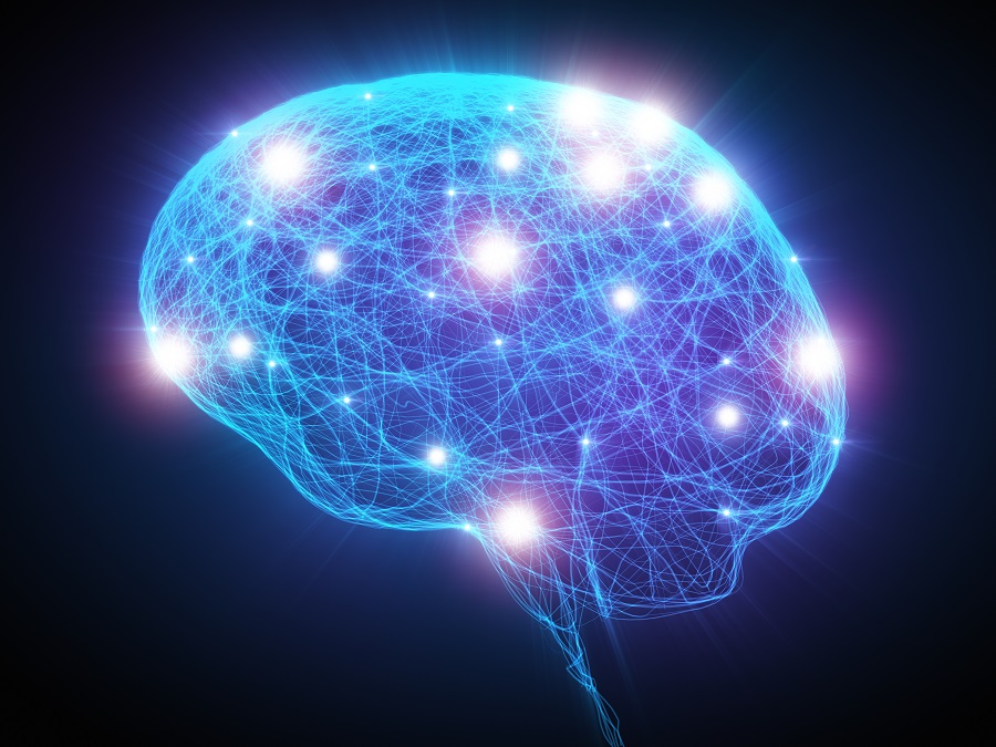 Health, Wellness, Brain, Chiropractic