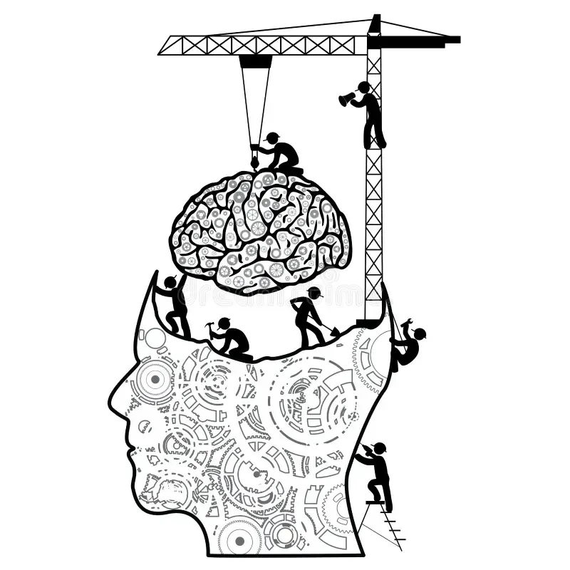 Health, Wellness, Brain, Chiropractic