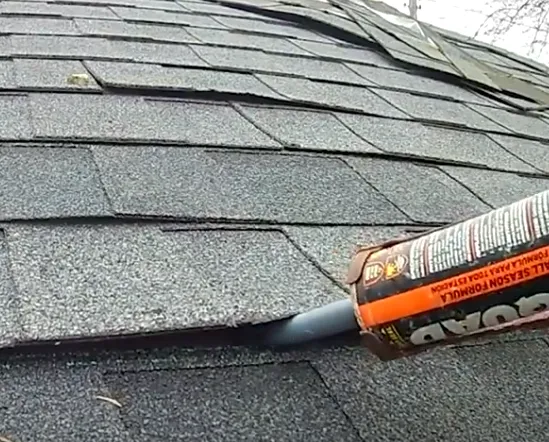 Roof Maintenance