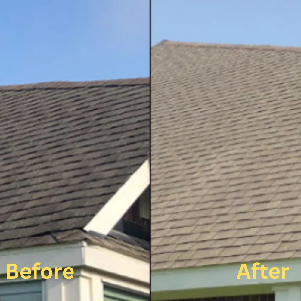 Roof Wash
