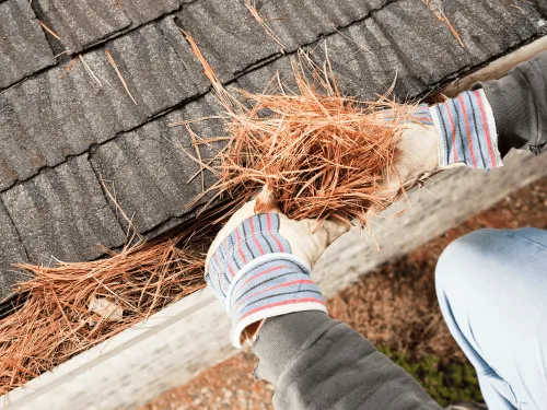 Moody Roof Replacement