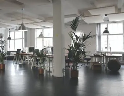 Spacious, modern office with wooden desks, computers, large windows, and greenery, illuminated by pendant lighting.