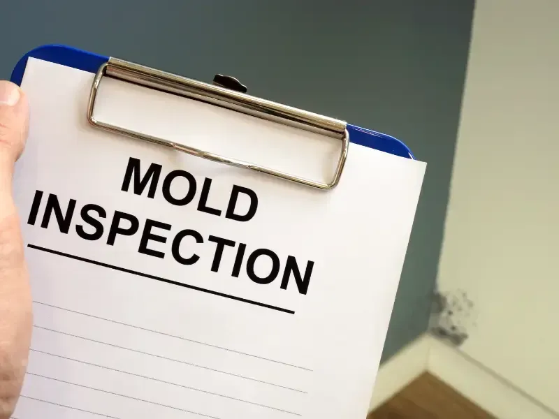 mold inspection near me