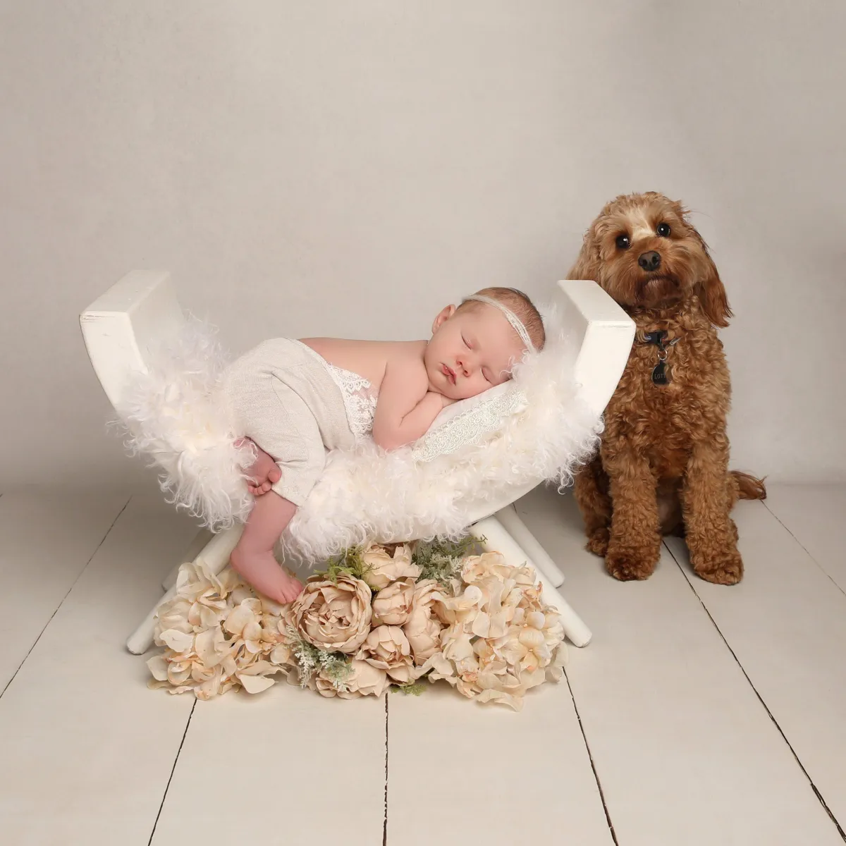 baby with dog - Professional baby photos taken by baby art Manchester