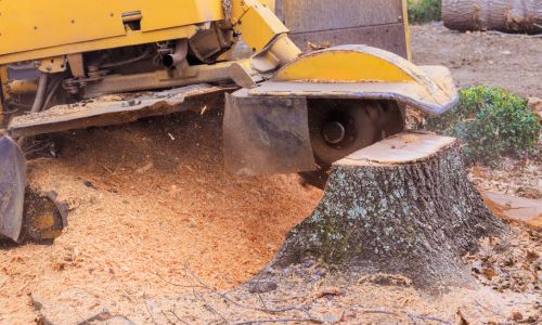 Landscaping Services in