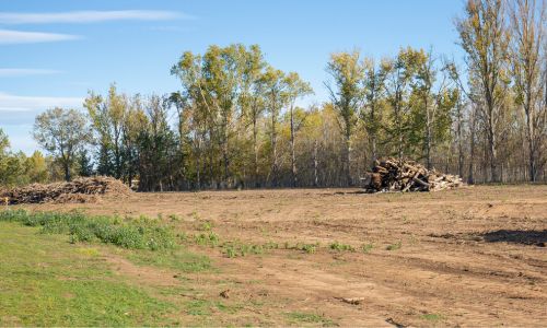 Land Clearing and Reclaiming in