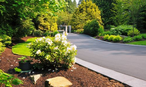 Landscaping Services in 
