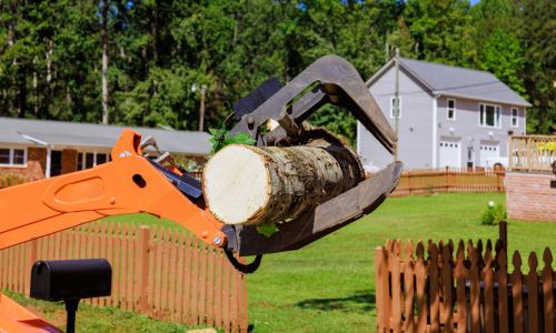 Landscaping Services in 