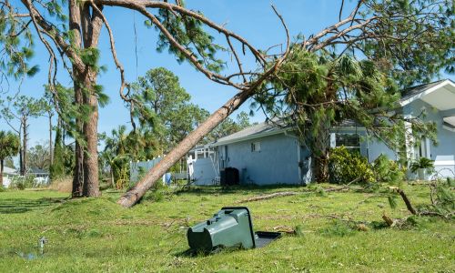 Land Clearing and Reclaiming in