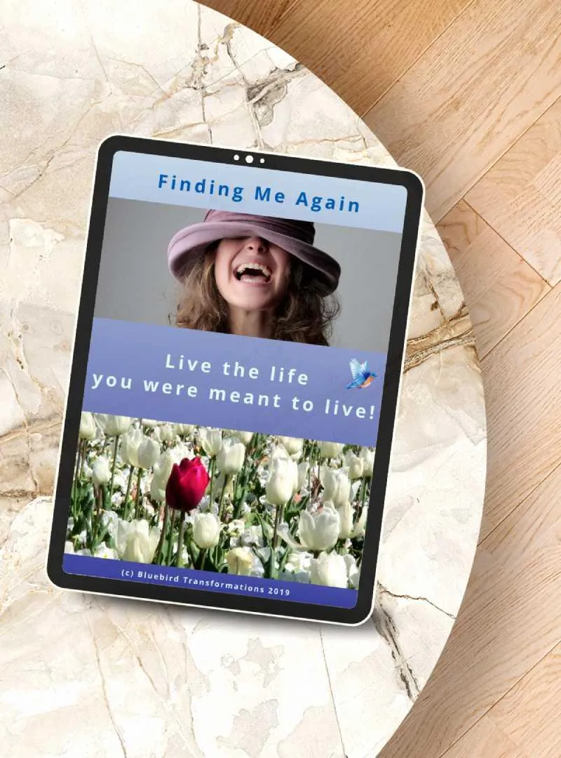 Ipad with Bluebird Transformations' inding Me Again Interactive Workbook