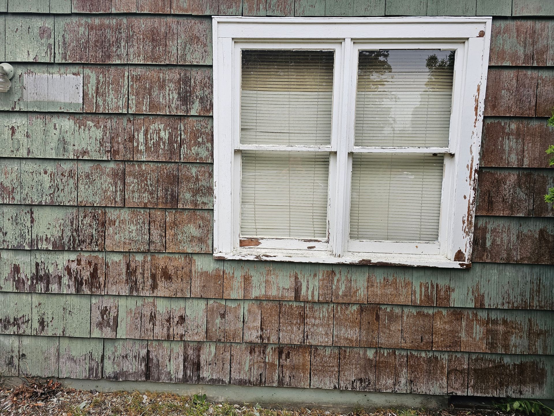 Painting expert in Washington offering services