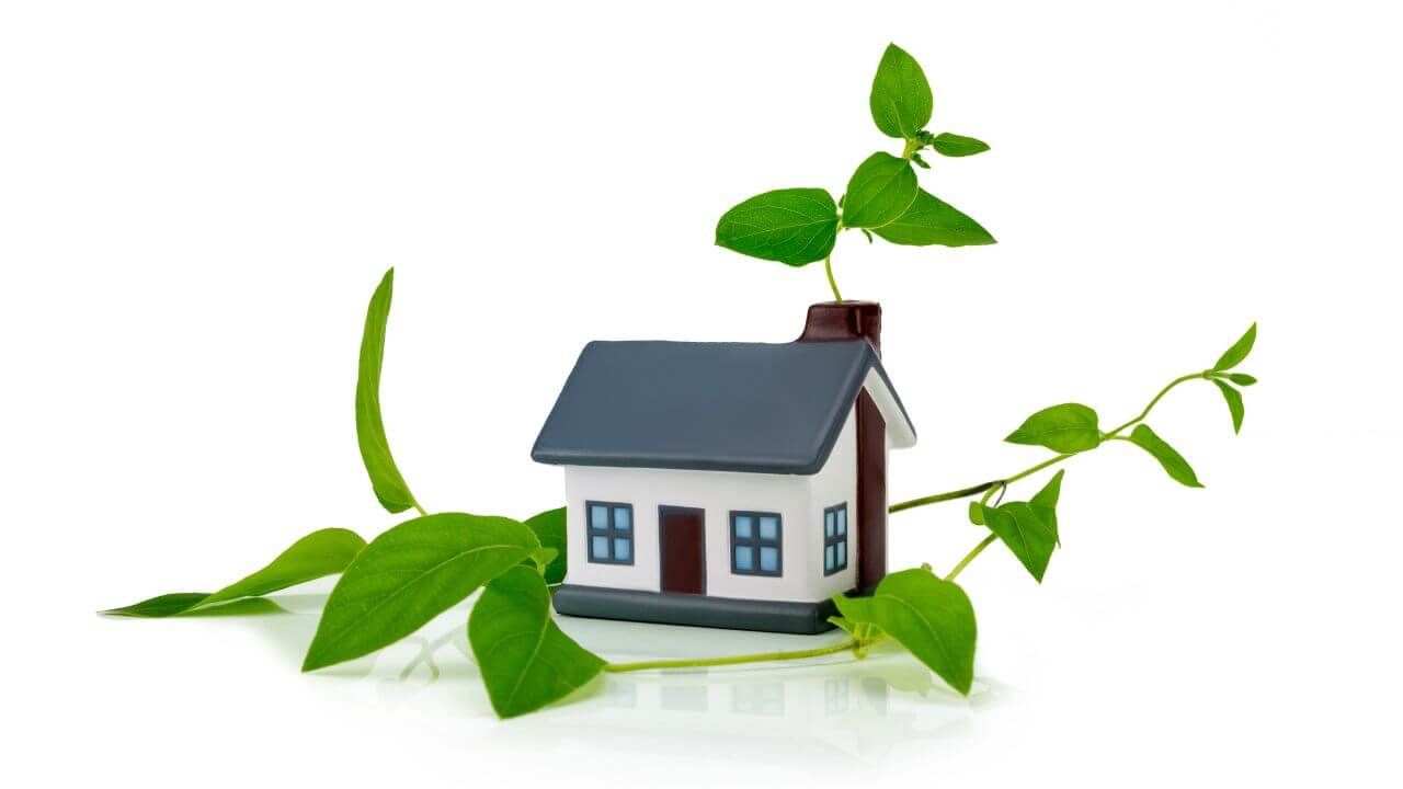 What Are the Benefits of Using Eco-Friendly Paints for Your Home?