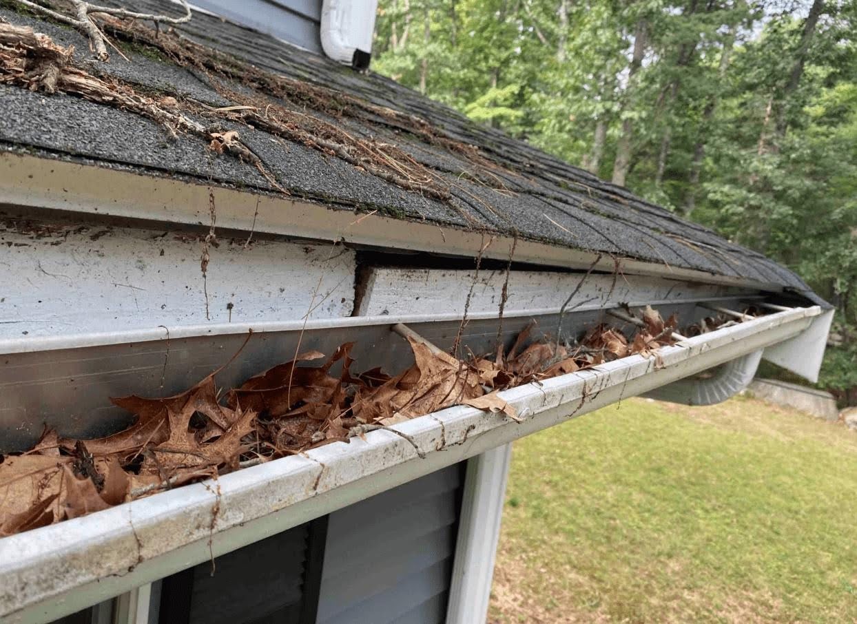 Close-up of an Ottawa home's eavestrough completely filled and overflowing with organic debris, including numerous maple keys, pine needles, and pollen pods, during a light summer rain.