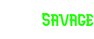 chiro-savage.com