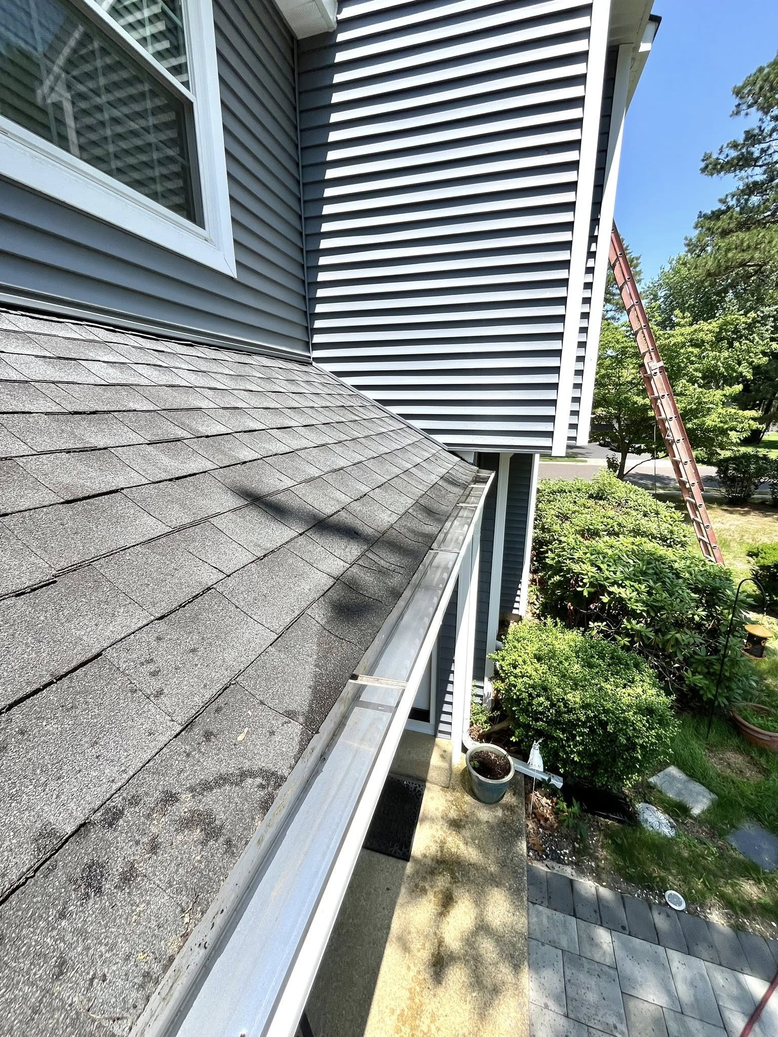 Gutter cleaning results in Tampa Bay