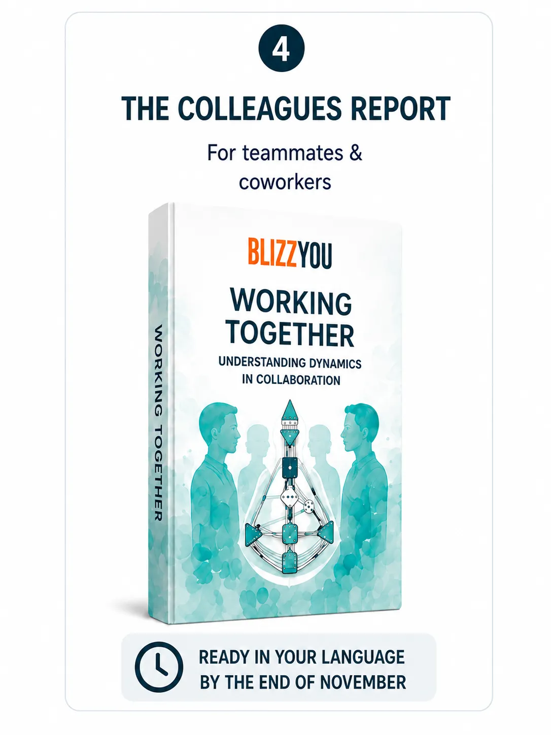 DFY Human Design report for colleagues and co-workers
