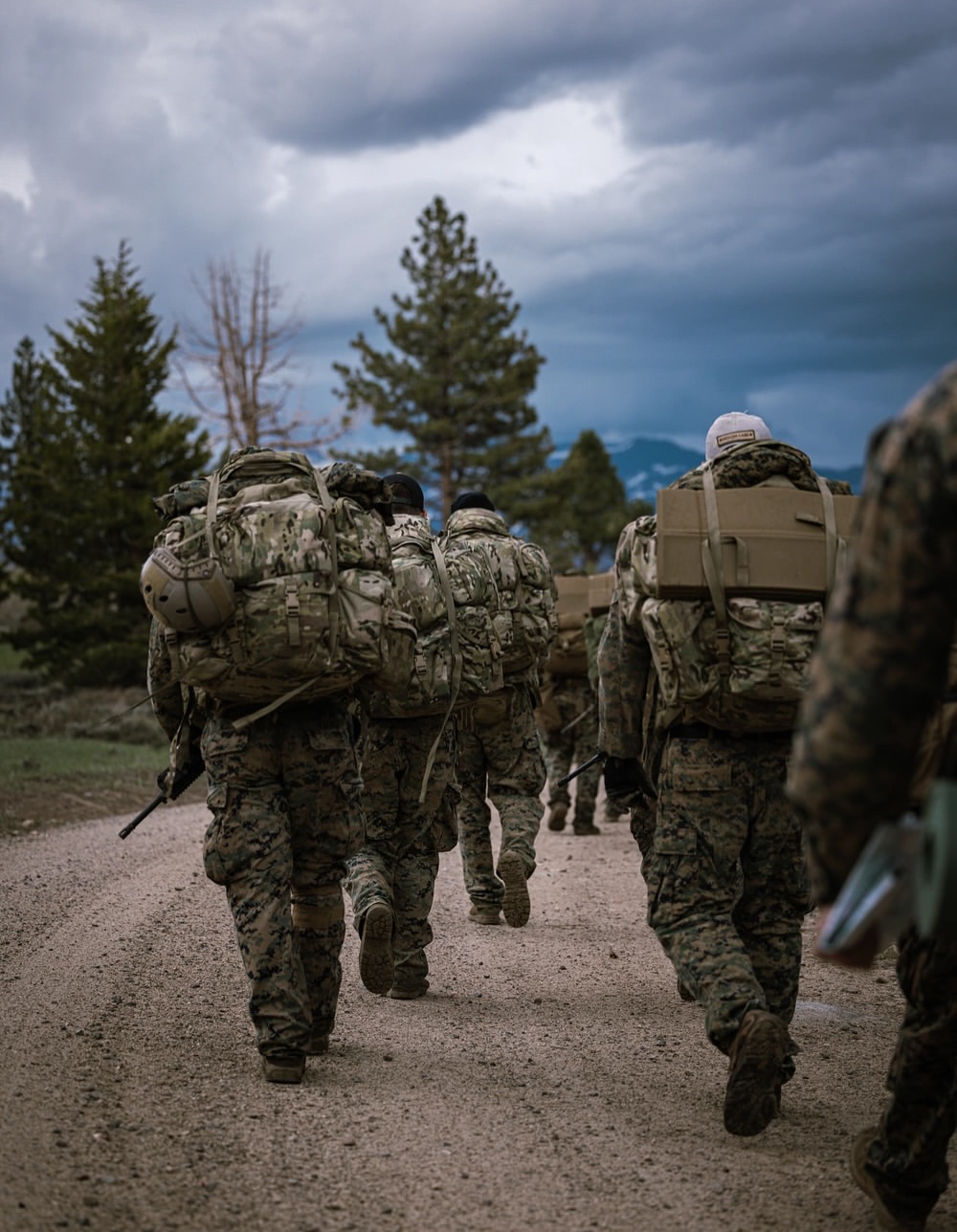 Soldiers in camouflage gear walking on a path, surrounded by trees under a dramatic, cloudy sky, conveying a sense of determination and readiness.